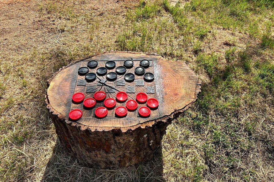 A tree stump carved into a checkers board, with red and black pieces set out ready to play.