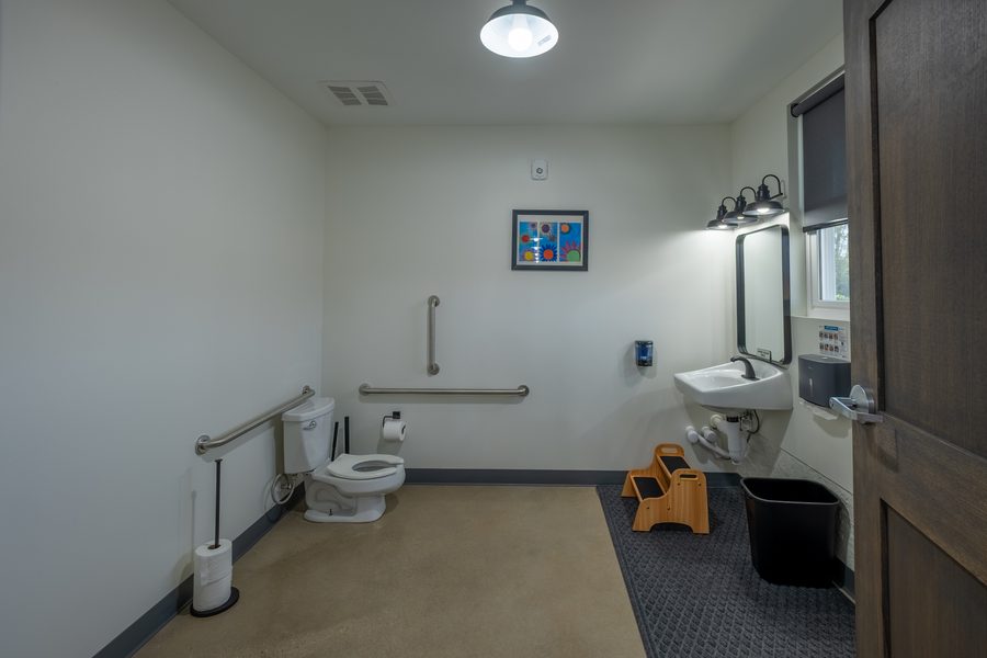 A bright children's restroom with a framed painting of flowers on the wall, a low toilet with grab bars, a step stool and a window with a shade.