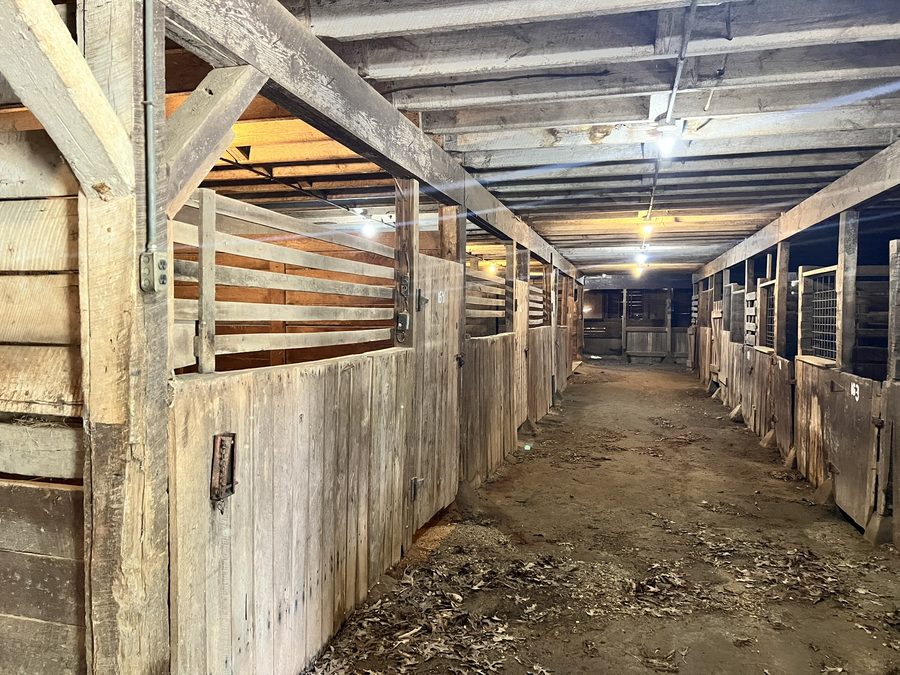 A row of original stalls with numbered doors, slatted upper partitions and heavy timber posts, lit by bare bulbs above a dirt aisle.