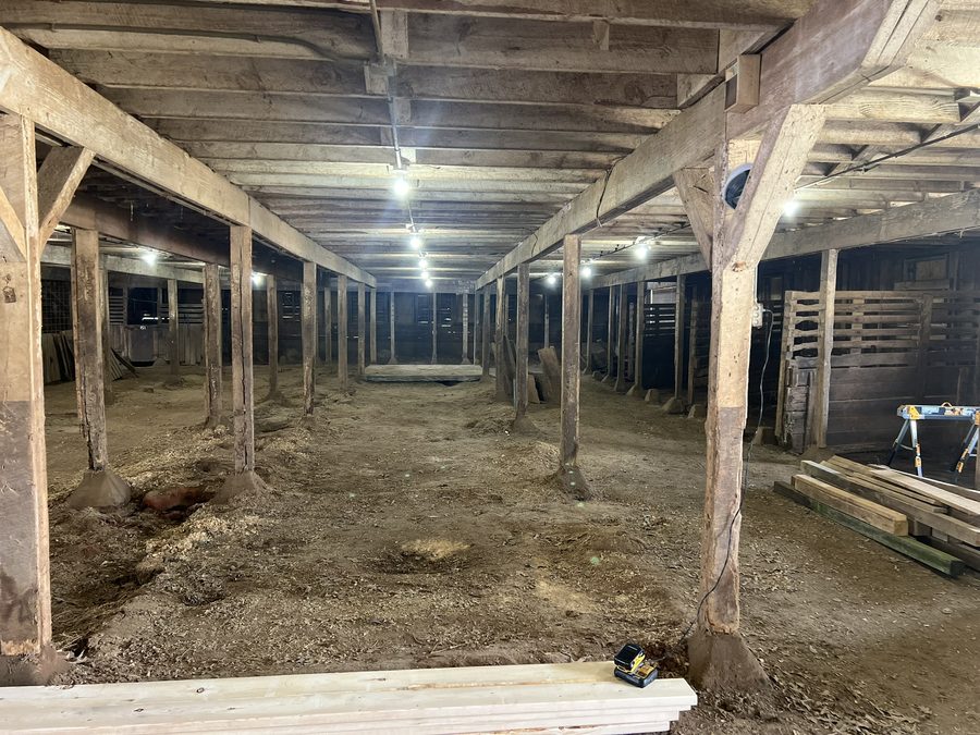 A long view down the interior of the barn: two rows of rough-hewn timber posts carrying the floor above, bare bulbs on a wire, and a dirt floor.