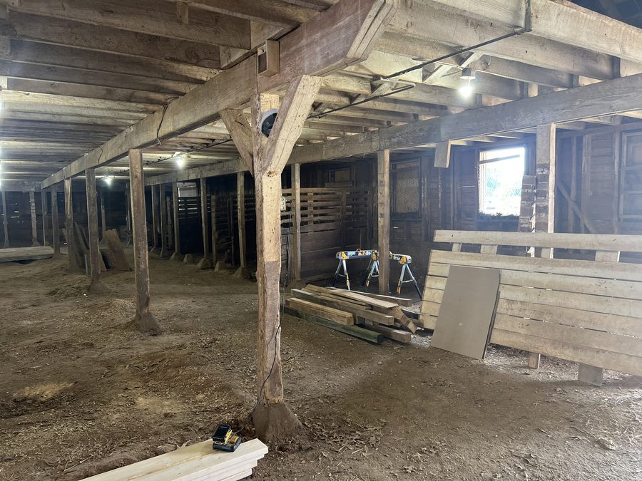 The barn interior with heavy timber posts and beams overhead, sawhorses and stacked fresh lumber against a wall of weathered boards.