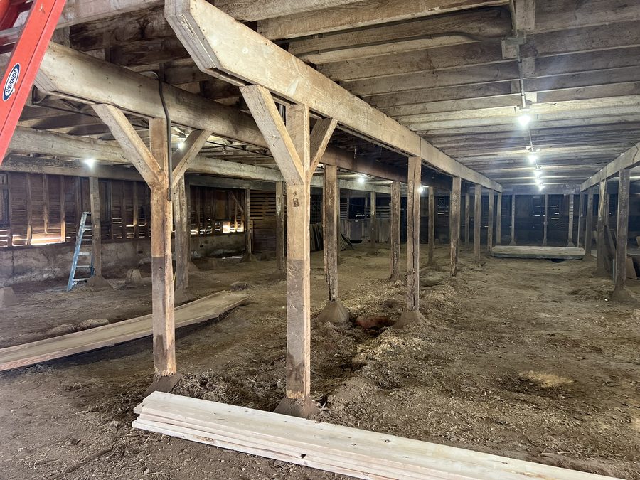 Rough-hewn posts and diagonal knee braces carrying the upper floor, with a ladder propped against a far wall.