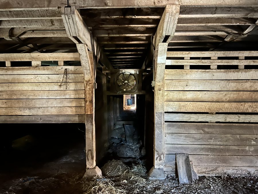An interior bay with sliding board doors, timber framing overhead and leaf litter across the floor.