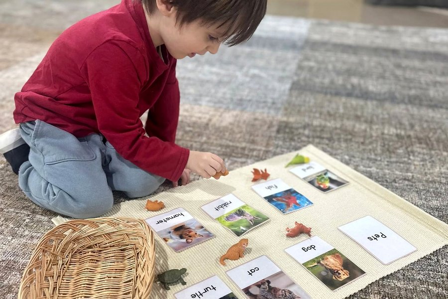 A child kneeling on a work rug, matching small animal figures to labelled picture cards laid out in rows.