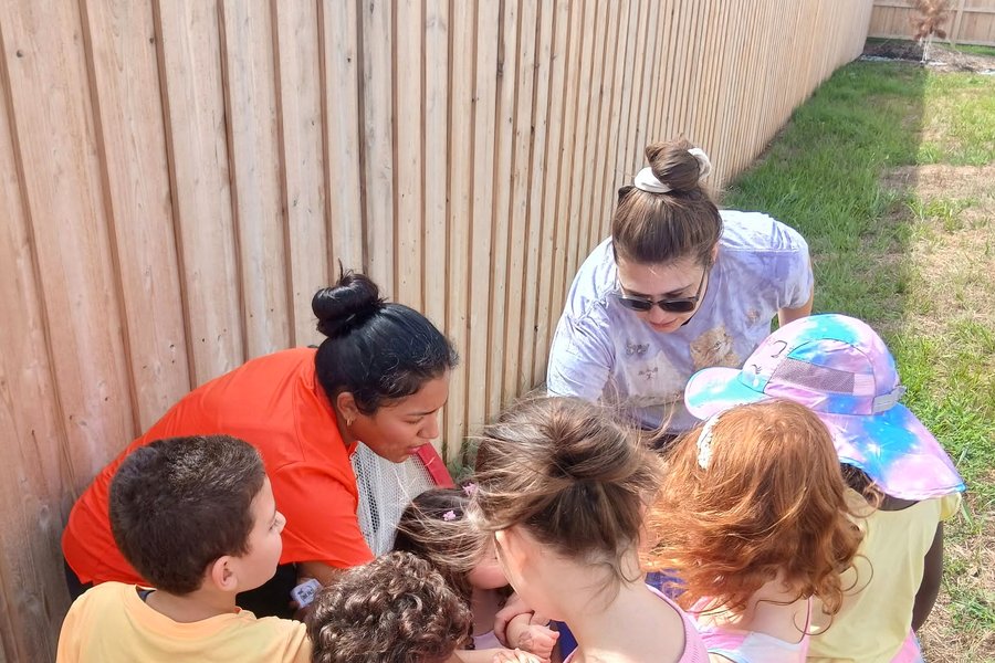 Children and teachers crouched together in the grass beside the fence, looking closely at something one of them has found.